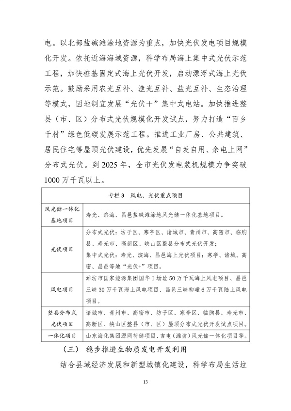濰坊市可再生能源發(fā)展“十四五”規(guī)劃.docx_44_17.jpg